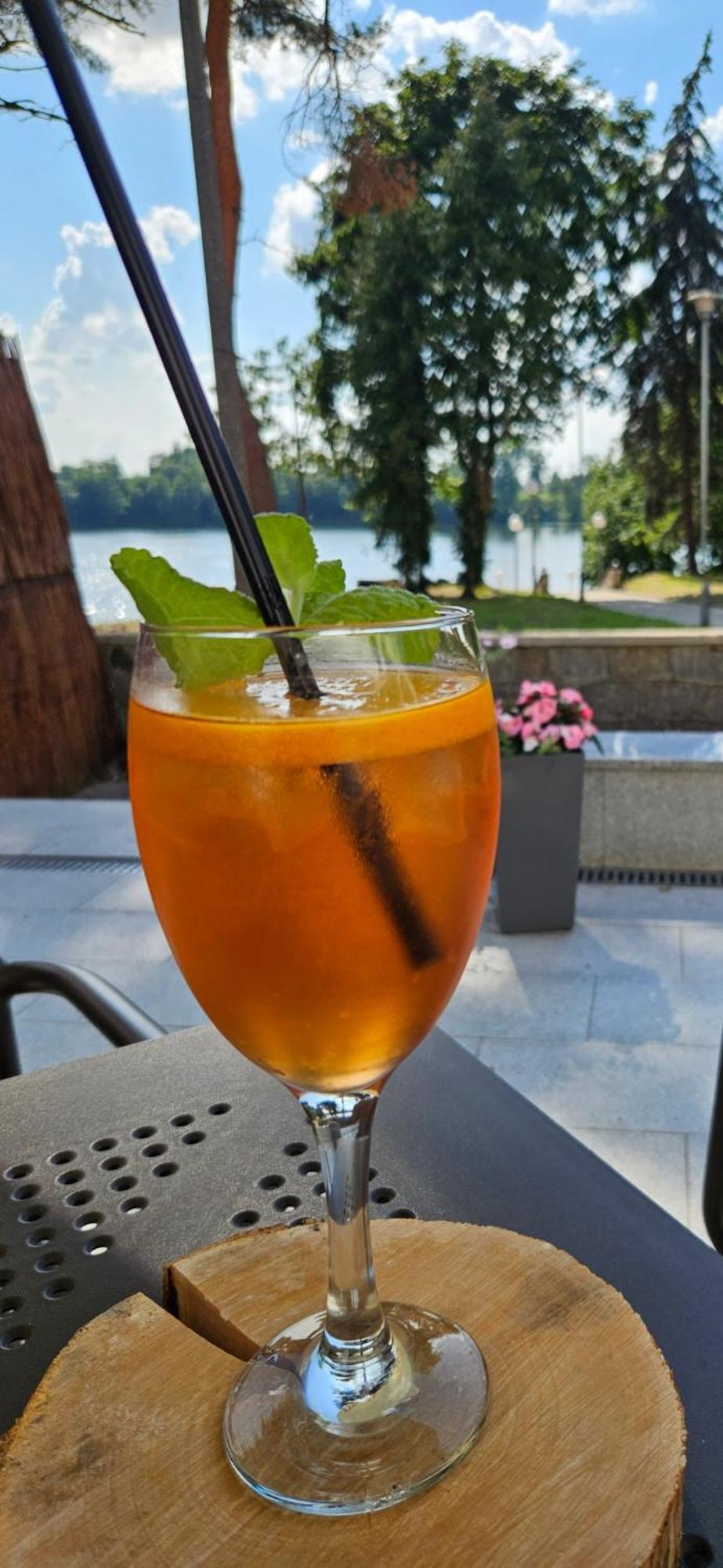 Papaver Hotel Ślesin Dış mekan fotoğraf